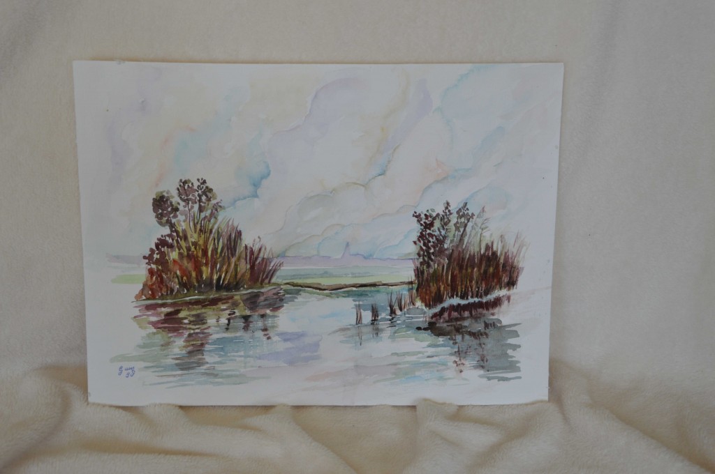 Riet