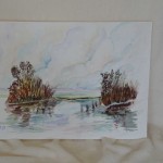 Riet