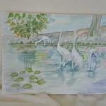Vogels