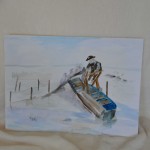 Visser