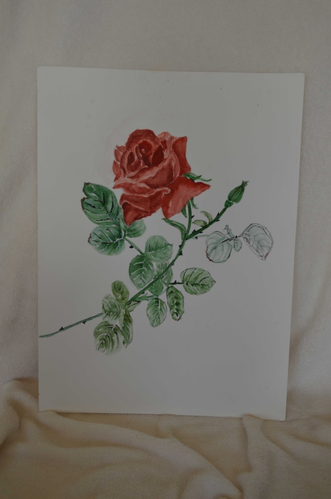 Roos