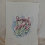 Tulpen