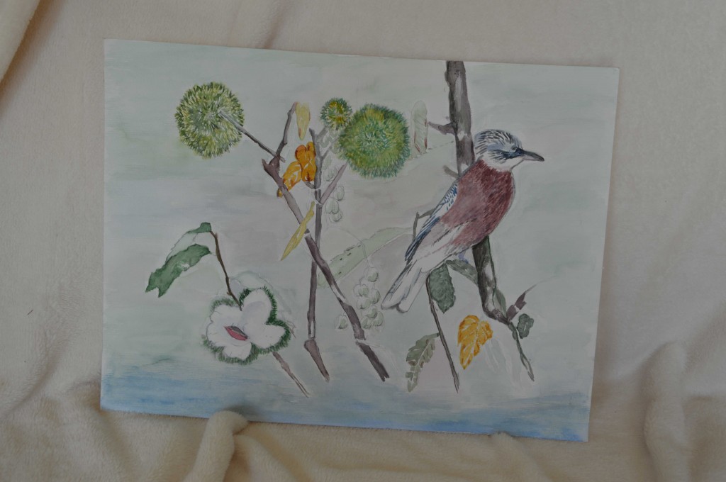 Vogel