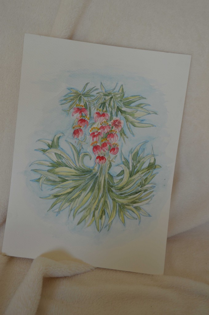 Bloemen