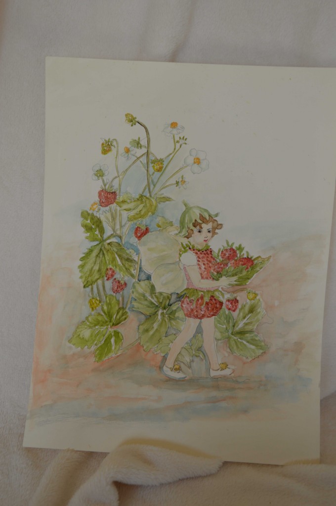 Aardbeien