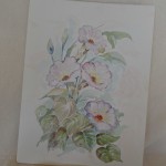 Bloemen