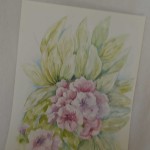 Bloemen
