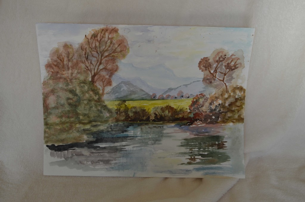 Landschap