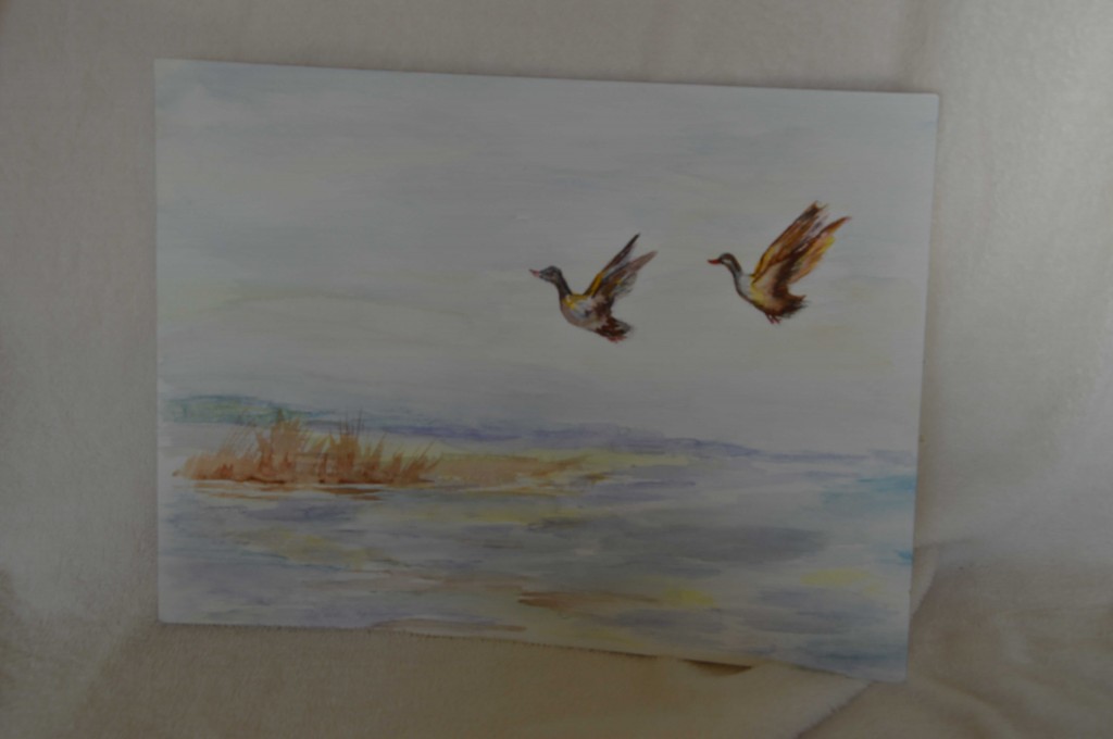 Landschap