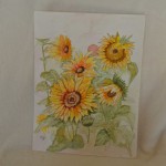 Bloemen