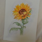 Bloem