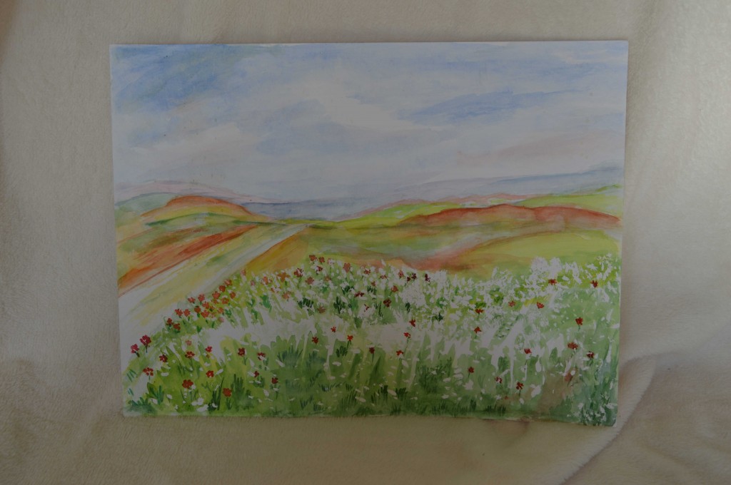 Landschap