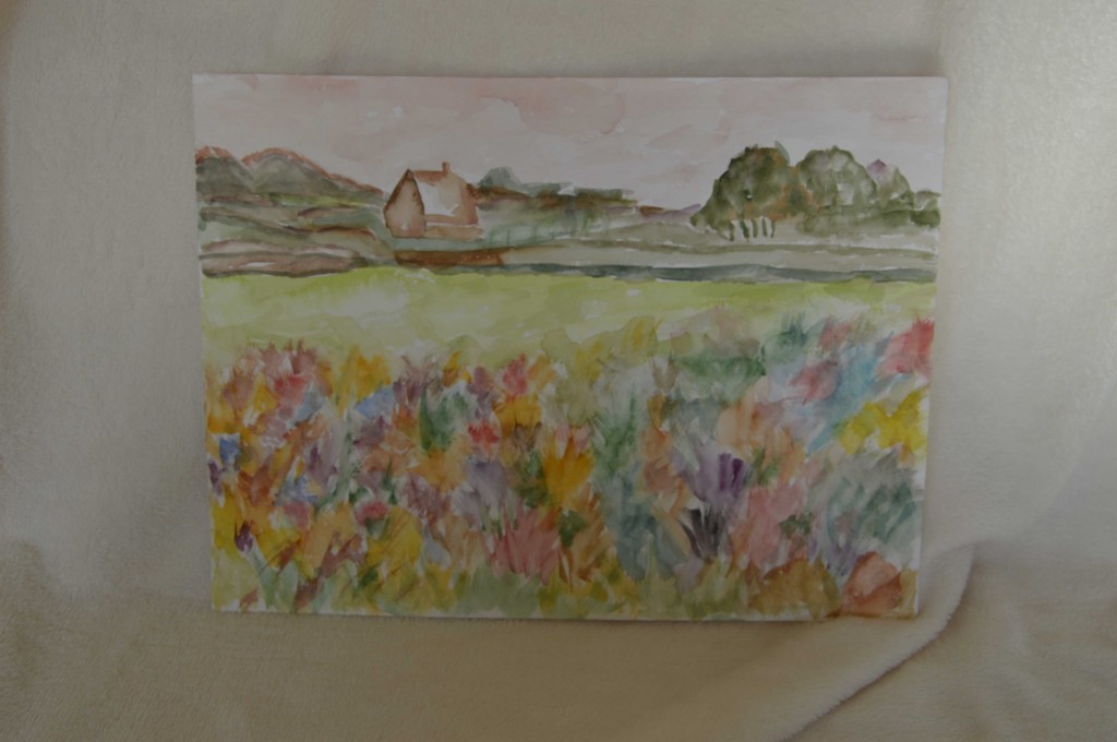 Landschap