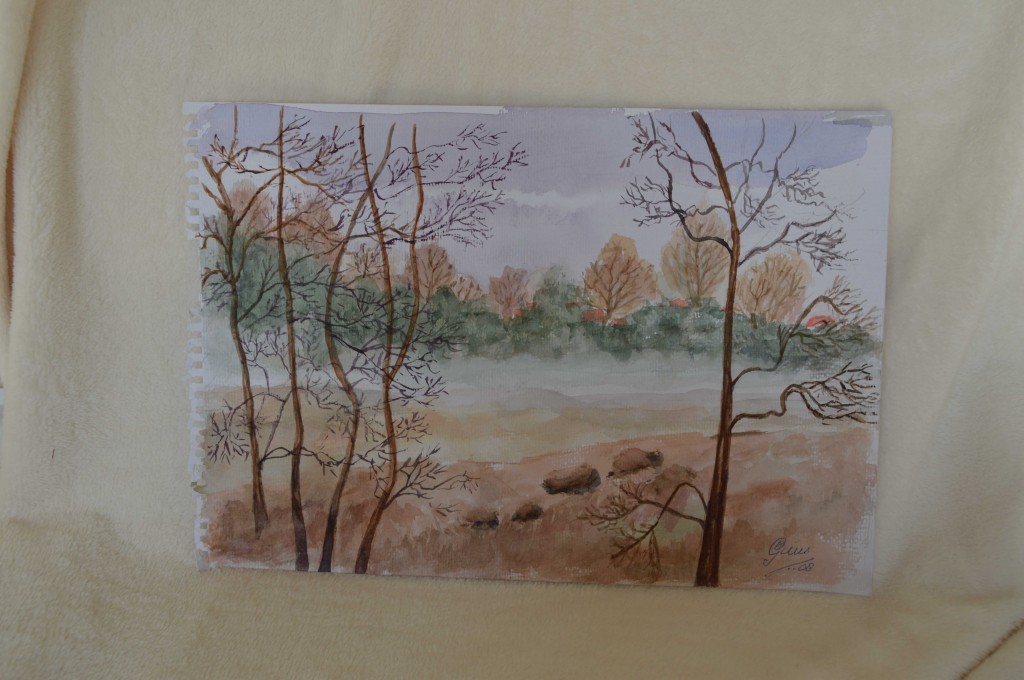 Landschap