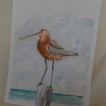 Vogel