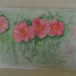 Bloemen