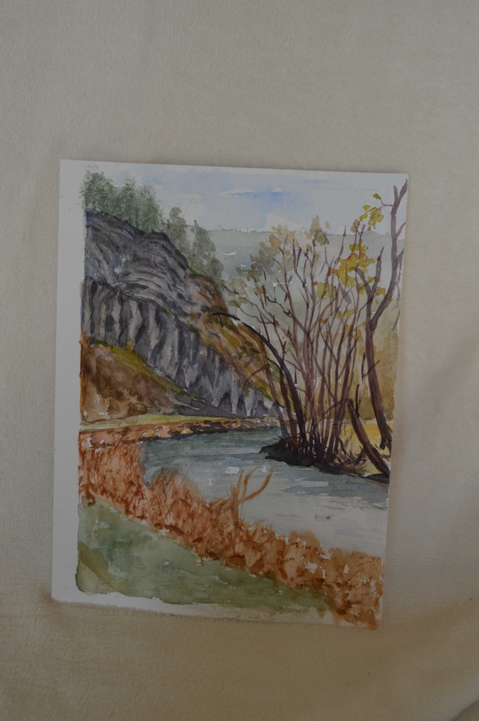 Landschap