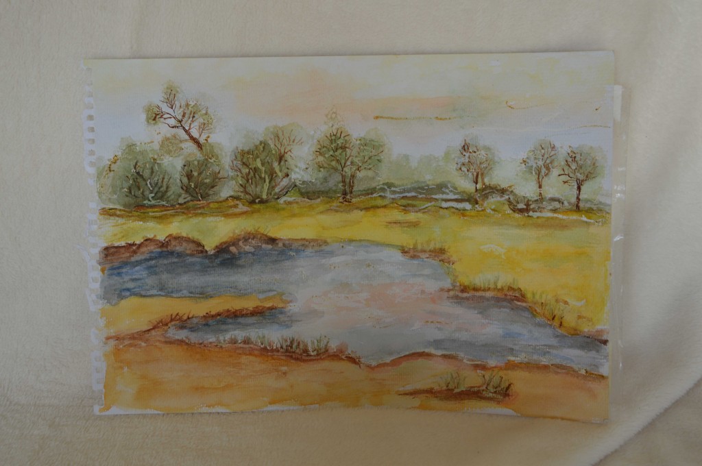 Landschap