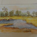 Landschap