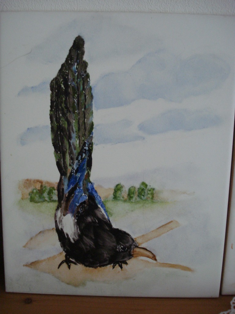 Vogel