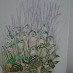 Bloemetjes