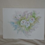 Bloemen