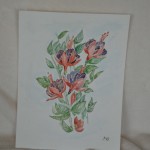 Bloemen