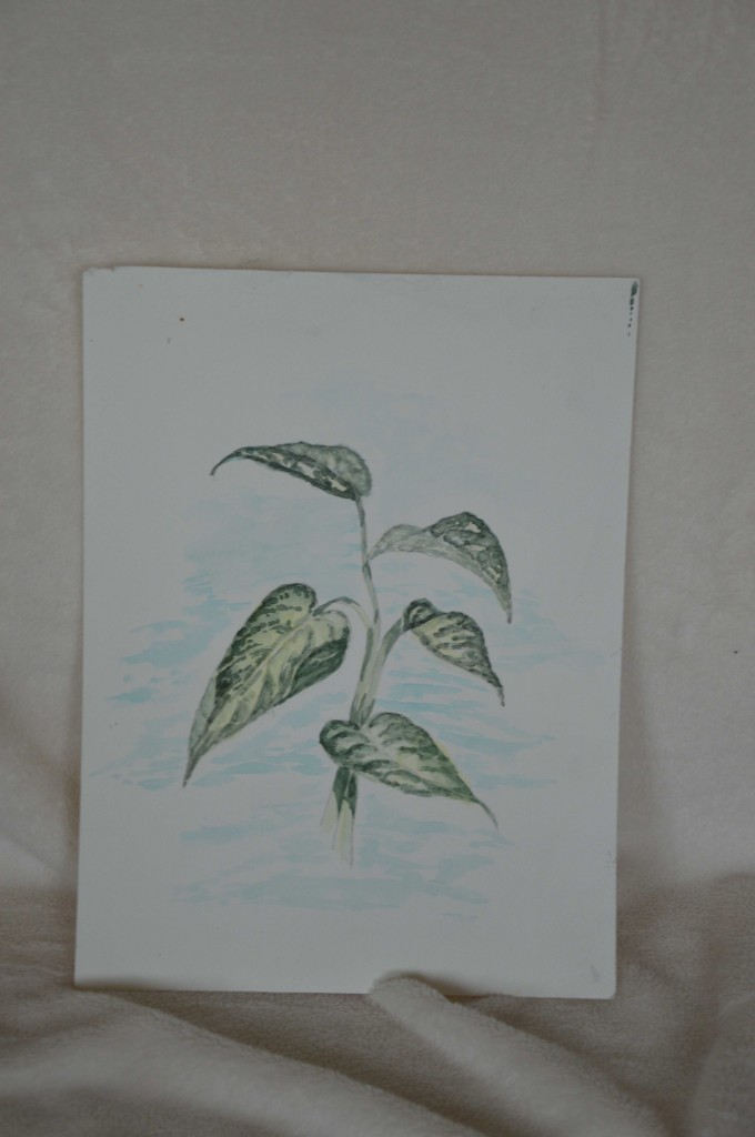 Bloemen