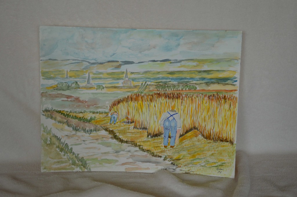 Landschap