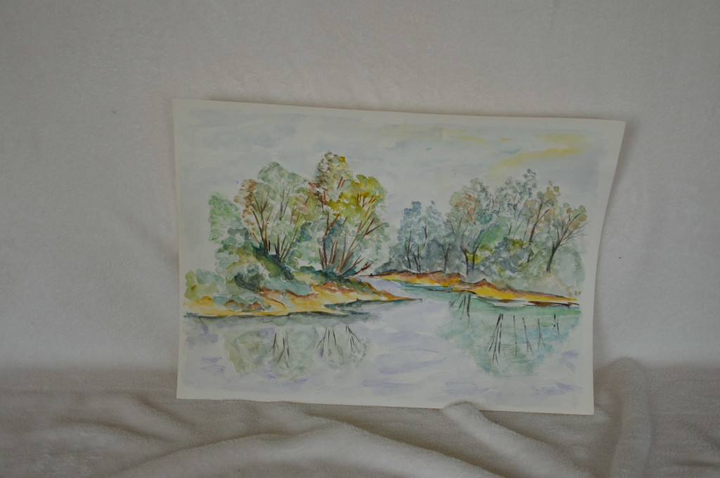 Landschap