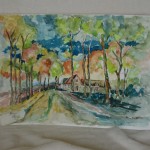 Landschap