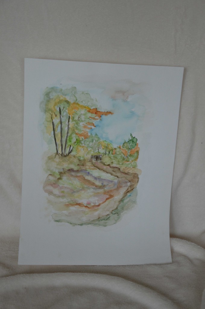 Landschap