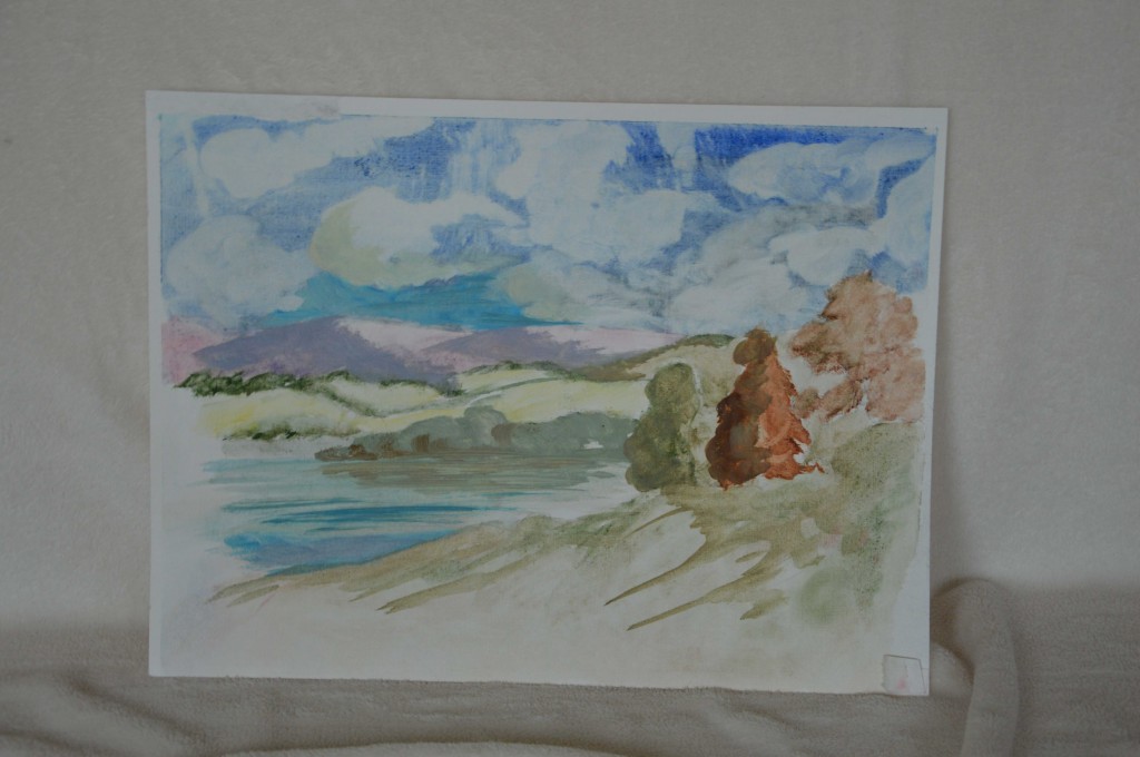 Landschap