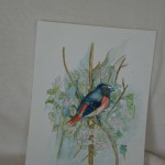 Vogel
