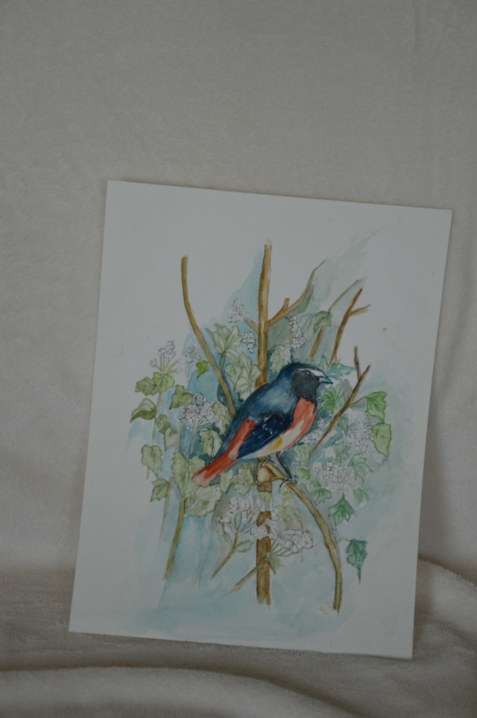 Vogel
